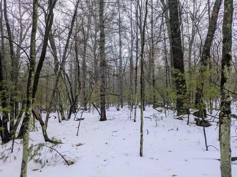 Wilderness, Alger, MI 48610 photo 5
