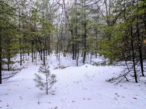 Wilderness, Alger, MI 48610 photo 7