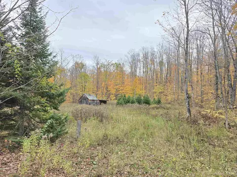 16454 Blue, Nisula, MI 49952