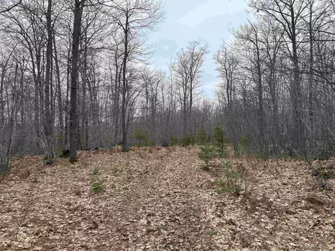 Near Krooks, Negaunee, MI 49866