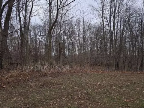 Other - 7628 N Latson, Howell, MI 48855 photo 5 of 5