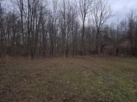 Other - 7628 N Latson, Howell, MI 48855 photo 4 of 5