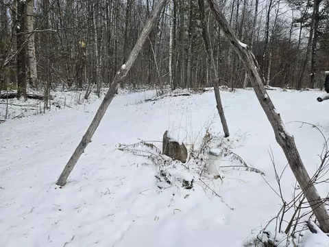 5200 N Old State, Harrison, MI 48625 photo 31