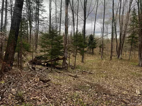 Exterior - E 3946 Storm, Chatham, MI 49816 photo 13 of 13