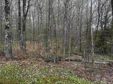 Exterior - E 3946 Storm, Chatham, MI 49816 photo 5 of 13