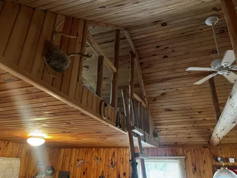 Other - E 3946 Storm, Chatham, MI 49816 photo 3 of 10