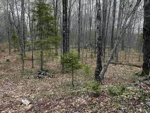 Exterior - E 3946 Storm, Chatham, MI 49816 photo 10 of 13