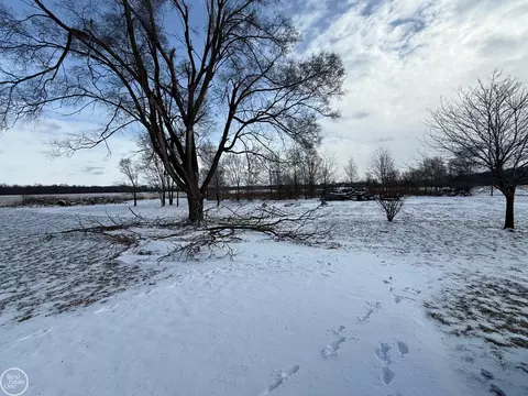 Exterior - 78730 Brown, Bruce, MI 48065 photo 11 of 13