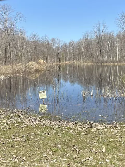 View/Area - 745 Wolverine, Gladwin, MI 48624 photo 6 of 9