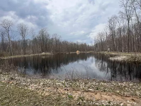 View/Area - 745 Wolverine, Gladwin, MI 48624 photo 3 of 9