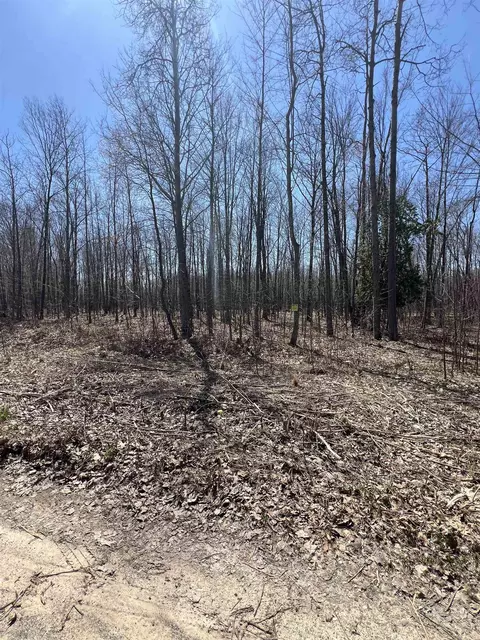 Other - 745 Wolverine, Gladwin, MI 48624 photo 23 of 27