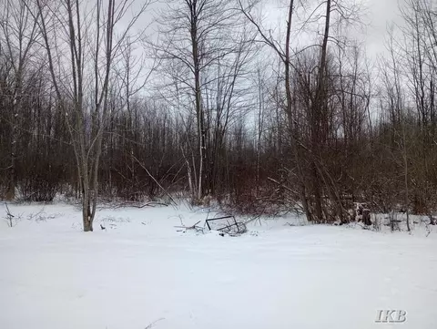Other - 993 Easton, Gladwin, MI 48624 photo 5 of 7