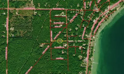 Vl Louella, Topinabee, MI 49791