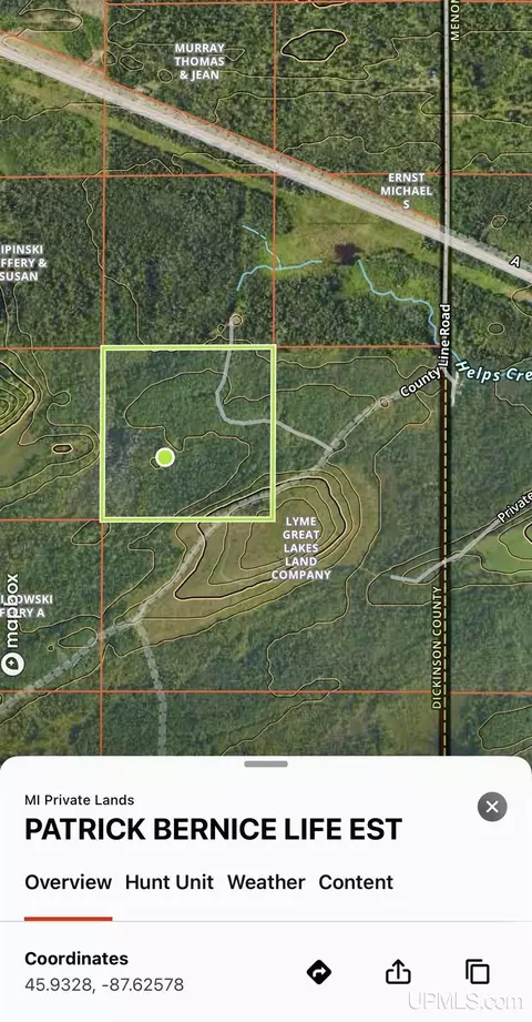 tbd County Line, Hardwood, MI 49807