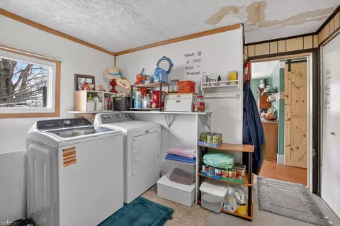 134 Prairie, Lyons, MI 48851 photo 19