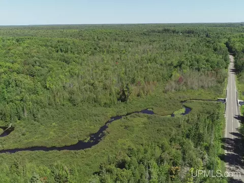 40 Acres Little Lk, Gwinn, MI 49841