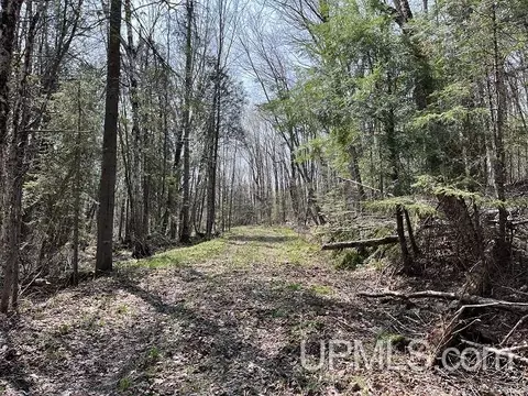 40 Acres Little Lk, Gwinn, MI 49841