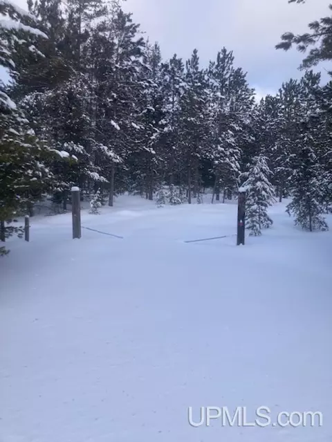 tbd Co Rd 448, Manistique, MI 49854
