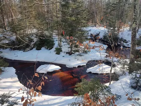 40 Acres Off Gierke, Manistique, MI 49854