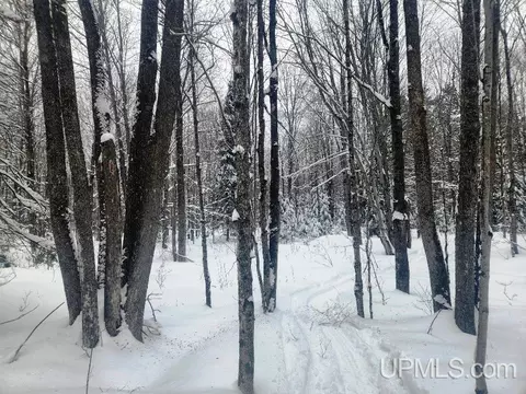 tbd Oss #40 ACRES, Crystal Falls, MI 49920