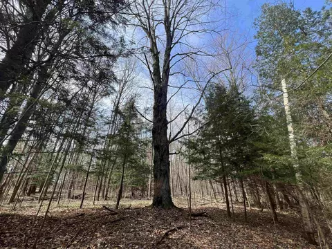 Exterior - 7020 E Arnold Lk, Harrison, MI 48625 photo 19 of 29