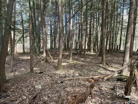 Exterior - 7020 E Arnold Lk, Harrison, MI 48625 photo 25 of 29