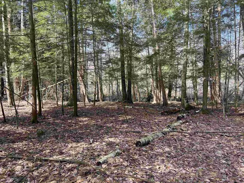 Exterior - 7020 E Arnold Lk, Harrison, MI 48625 photo 24 of 29