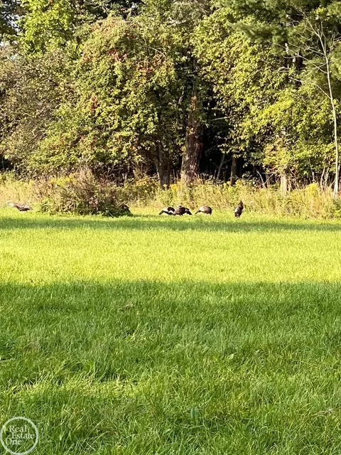 0 Harrington, Croswell, MI 48422