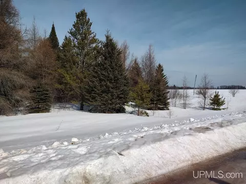E 80 Acres River, Manistique, MI 49840