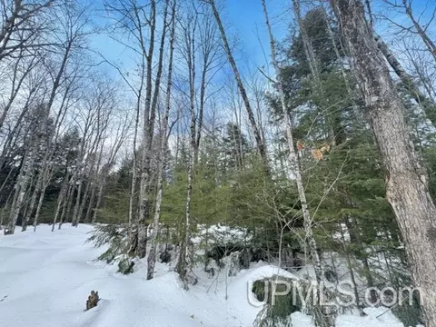 lot7 W Tamarack Lk, Watersmeet, MI 49969