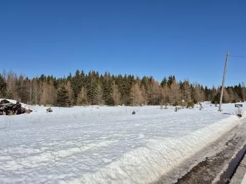 W 80 Acres River, Gulliver, MI 49840