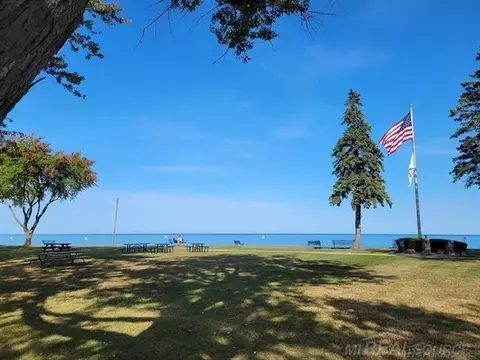 View/Area - 7378 Birch Tree, Lexington, MI 48450 photo 6 of 12