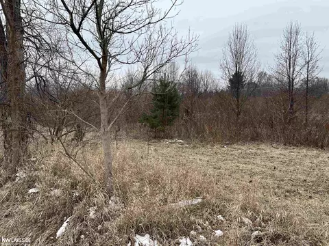 0 Pinckney, Howell, MI 48843 photo 7