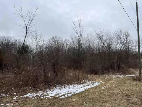 0 Pinckney, Howell, MI 48843 photo 4