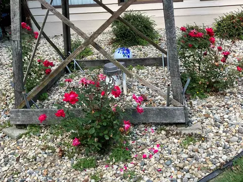 Exterior - 1298 N Cummings, Davison, MI 48423 photo 12 of 16