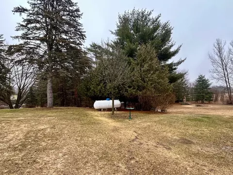 Exterior - 123 S Shearer, Gladwin, MI 48624 photo 8 of 12