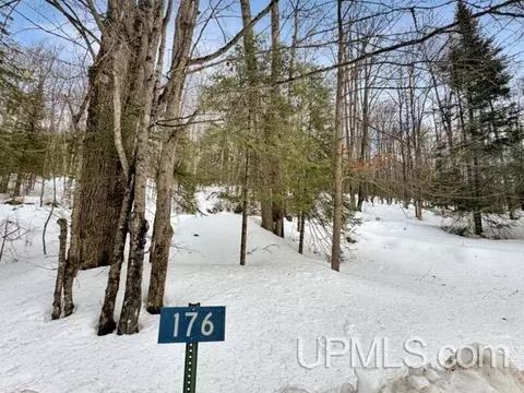 176 E Lake Emily, Crystal Falls, MI 49920