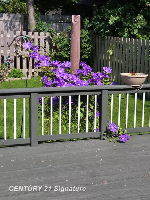Exterior - 314 Myrtle, Flushing, MI 48433 photo 7 of 10