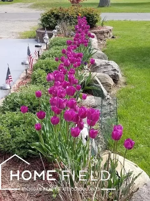 Other - 905 Exchange, Owosso, MI 48867 photo 8 of 8