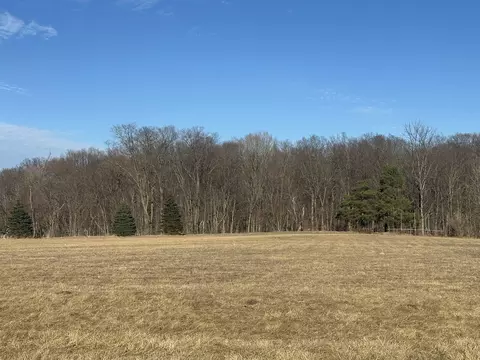Vl Alexander, Vassar, MI 48768 photo 5