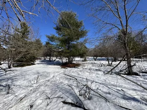 tbd Bellaire, Baraga, MI 49908