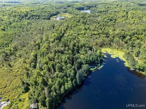 tbd Chaney Lk, Bessemer, MI 49911