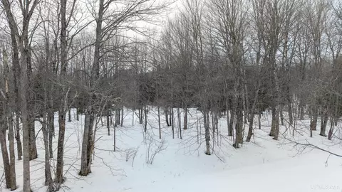 tbd Co Rd Ri, Rock, MI 49880