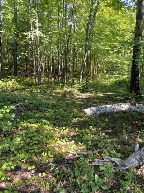 tbd Sec 2 Lost Crk, Big Bay, MI 49808