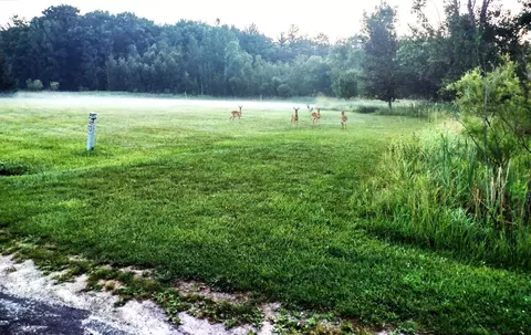 lot49 Appleby, Gladwin, MI 48624 photo 4