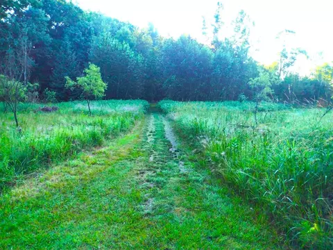 lot49 Appleby, Gladwin, MI 48624 photo 10