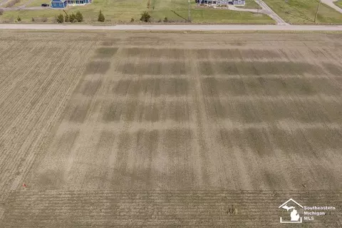 E Newburg, Carleton, MI 48117 photo 5
