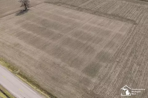 E Newburg, Carleton, MI 48117 photo 8
