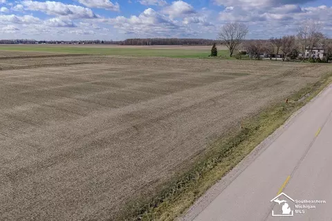 E Newburg, Carleton, MI 48117 photo 9