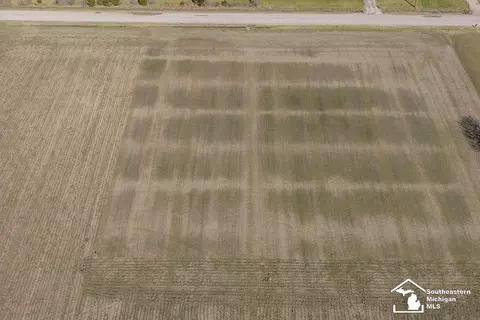 E Newburg, Carleton, MI 48117 photo 4